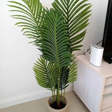 فيلة Forest 20 *