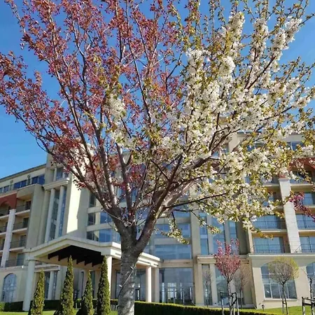 Forest 20 * Balchik